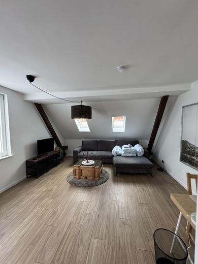 Kapitalanlage: Zwei vermietete Eigentumswohnungen im Gesamtpaket – Wohnzimmer Wohnung 1
