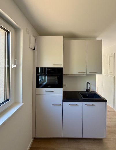 Möbliertes 1-Zimmer-Apartment mit Küche und Balkon (Erstbezug) – Küche 2
