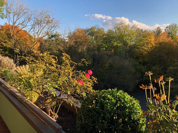 Hell, sonnig, ruhig und zentral - 2-Zimmer Wohnung im Herzen von Gröbenzell – Blick vom Balkon