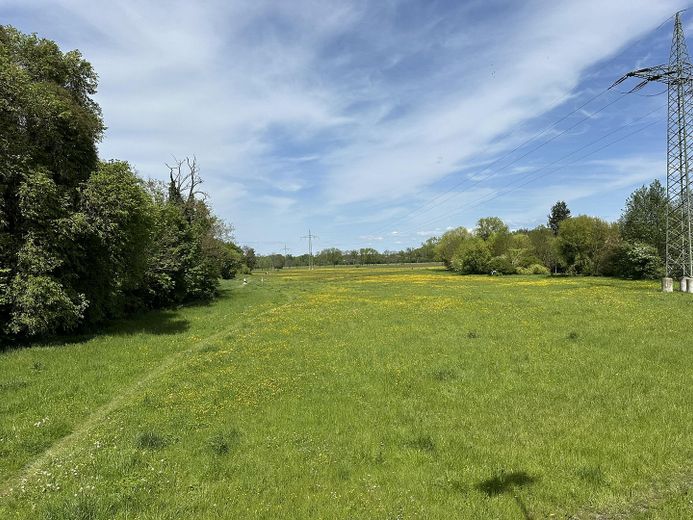 Wiesengrund direkt gegenüber