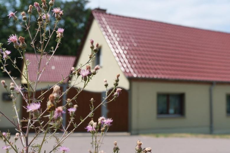 Idyllisch im Naturpark Hoher Fläming am Fuße der Burg Rabenstein gelegenes Landhaus – Foto 9