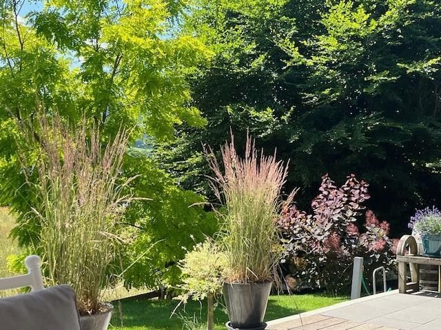 Bepflanzung-Garten