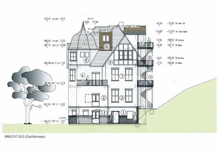 **außergewöhnliche, sanierte Jugendstilwohnung mit Aufzug &amp; Stellplatz in historischer Villa** – 4-Kelterstr.185 Kreuzau Ansicht Süd Dachterrasse