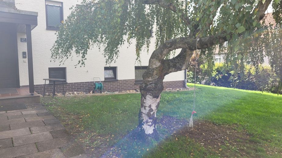 Güzel, aydınlık, yeni yenilenmiş 3 odalı daire – Garten