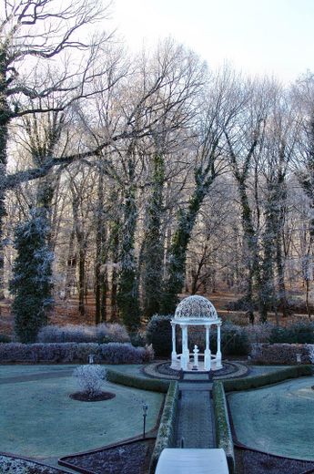 Represäntive Premium-Villa in gefragter Lage von Kolkwitz - VERKAUF IM DIGITALEN BIETERVERFAHREN – Garten