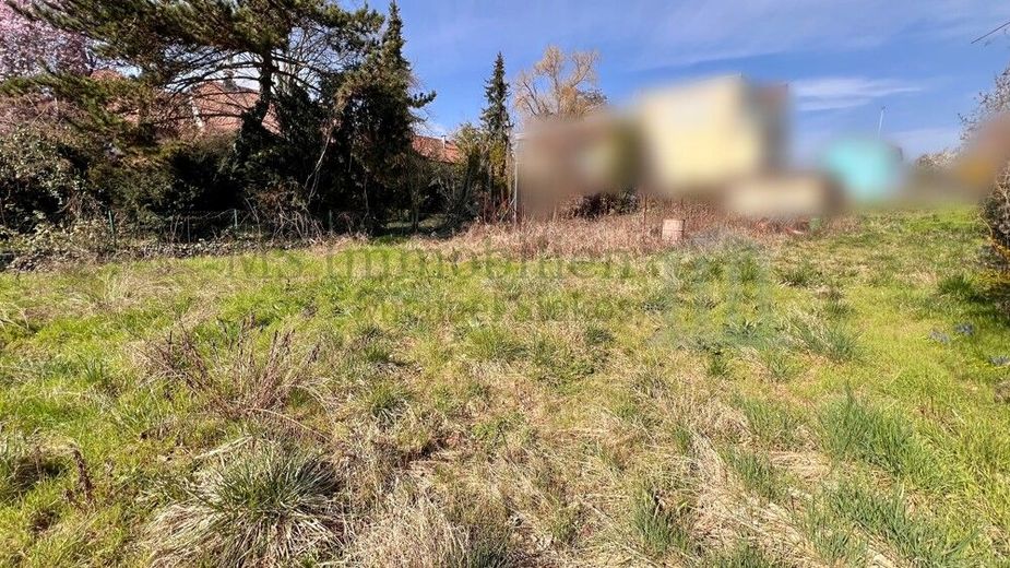 *** Ihr Bauplatz in Grünstadt - 651 m² für Ihr Traumhaus *** – Grundstück Ansicht 2