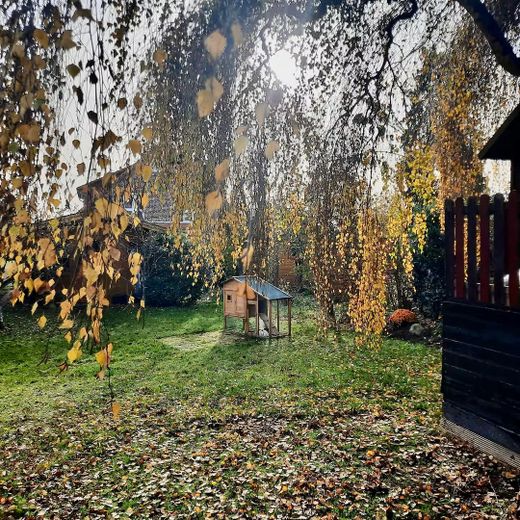 Traumlage: Ruhig, zentral und großzügig – Garten