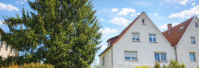 eingewachsenes Grundstück