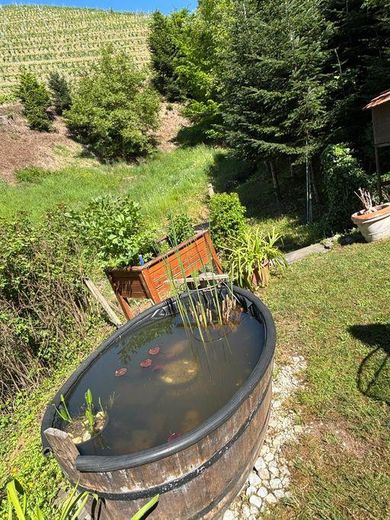 Attraktive Immobilie inmitten der Weinberge von Bottenau – Garten mit Teich