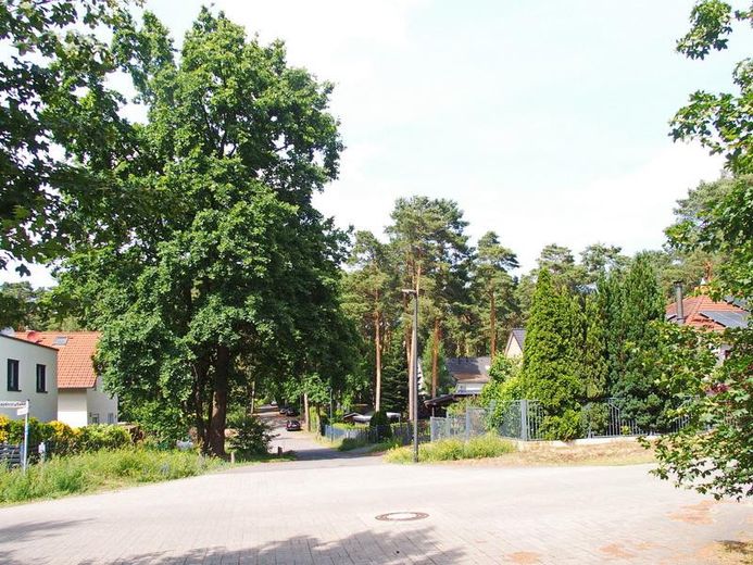 Schildow, Tschaikowskistraße, Komponistenquartier, provisionsfrei – Blick zum Grundstück