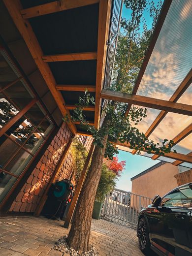 Architektur trifft Privatsphäre – besonderes Einfamilienhaus mit Pool, Sauna und Garten im Grünen – Ginkobaum durch Carport