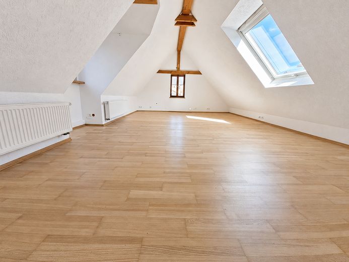 EERSTE BEWONING NA RENOVATIE AAN DE MAIN | Twee bijzondere woningen met aparte ingangen – Maisonette