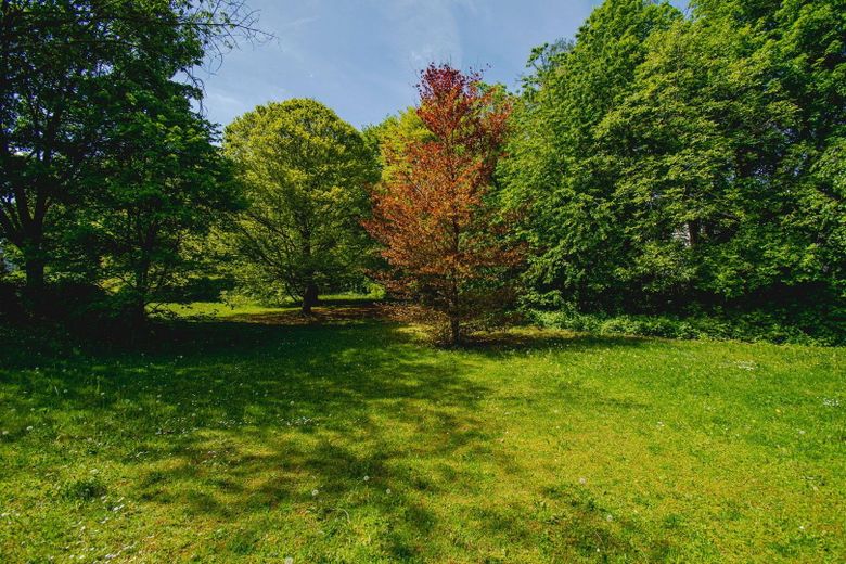 Garten Blickrichtung Süden