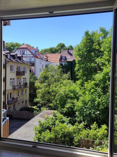 Blick von der Wohnküche