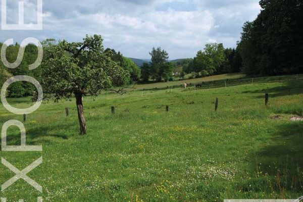 Amelith: Vita di campagna nell’Hochsolling: galline, anatre, oche, cavalli