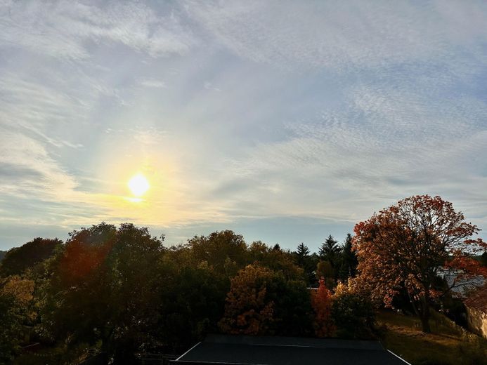 Blick vom Balkon 4