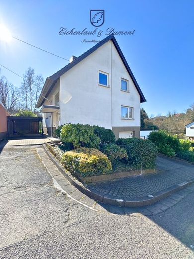 Freistehendes 1-2 Familienhaus in zentrums-und naturnaher Lage, sofort nutzbar – Hausansicht mit Garage