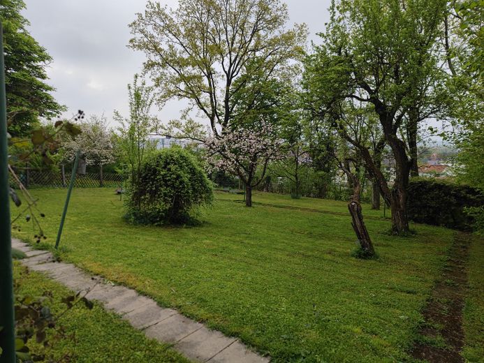 Garten mit alten Obstbäumen