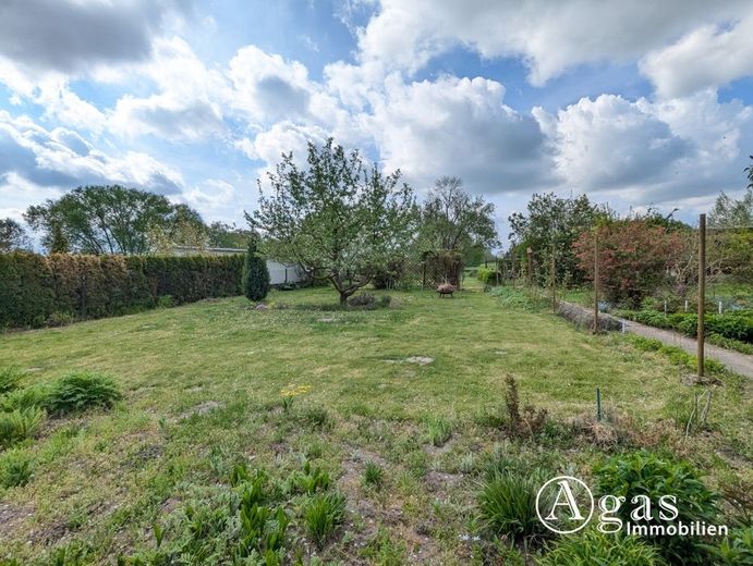 Großes Gartengrundstück mit Laube am Ortsrand von Zehdenick (Eigentum - keine Pacht, kein Verein) – Garten