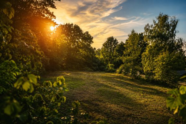 Zwischen Wald und Weite: Baugrundstück im grünen Neuenhagen