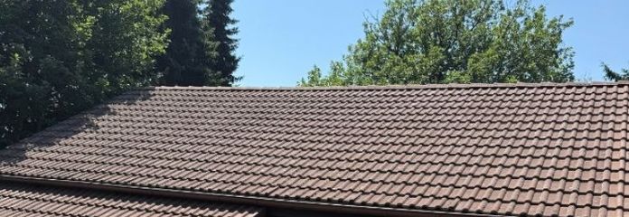 Bungalow ! 2026 renoviert, in der Nähe des Losheimer Stausees und inmitten der Natur!