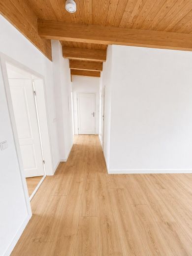 Frisch sanierte 4-Zimmer-Altbauwohnung mit Wohnküche, Holzbalkendecke & Tageslichtbad – Flur