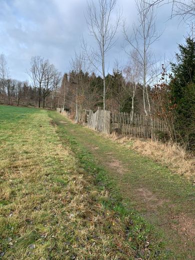 gewerbliches Grundstückspaket - 38222m² - am Bhf./Bahngleisen – 240105_Lengenfeld_GS_1263_24_25_26_055
