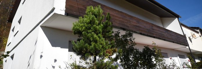 Balkon aktuell vom Garten aus