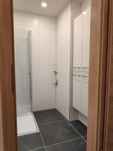 Appartamento al piano rialzato a Neuhausen, 3 1/2 locali, completamente ristrutturato, cucina componibile, Internet 1 Gb/s, 800 m fino alla S-Bahn – Foto 7