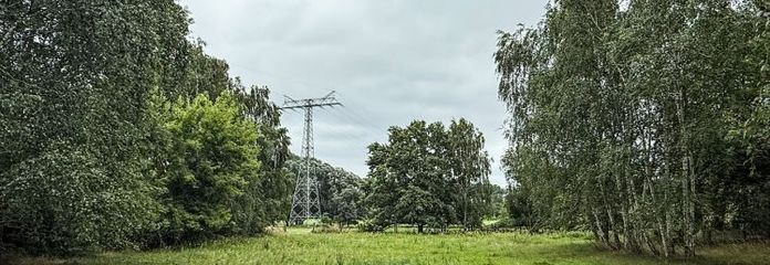 Großes Grundstück für Ihren Familientraum