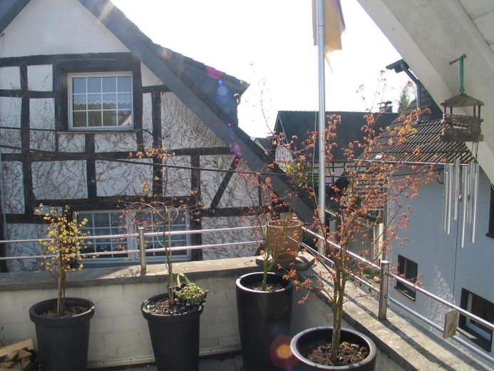 OG - Terrasse