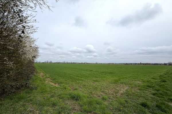 6.087 m² Landwirtschaftsfläche Mittlere Gewann auf die Höhe in Rodgau Hainhausen