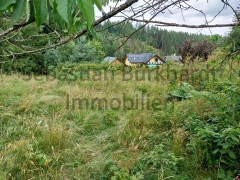 *** Baugrundstück mit Garage in Altenfeld nähe Großbreitenbach *** – Grundstück_4