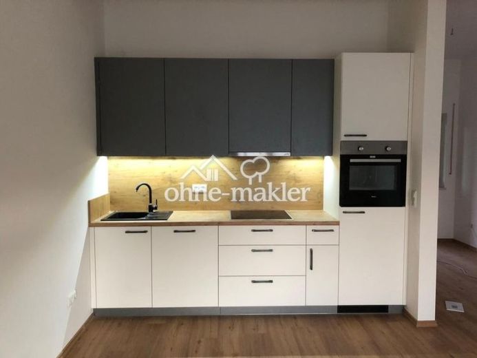 Großes helles Apartment mit Balkon zu vermieten – Foto 1