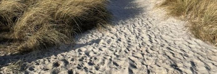 Strandnaher Bungalow in Heidkate am Ostseestrand