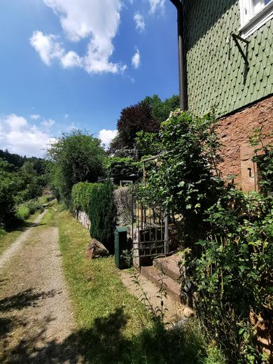 Forstweg nach Raubach