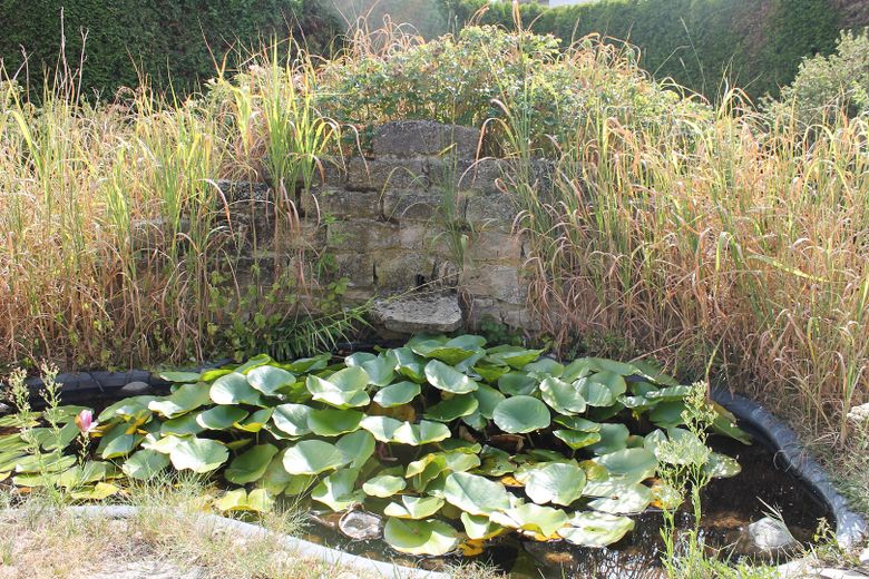 Sehr gepflegtes Zweifamilienwohnhaus in ruhige Wohnlage mit großem, sonnigem Gartengrundstück – Seerosenteich