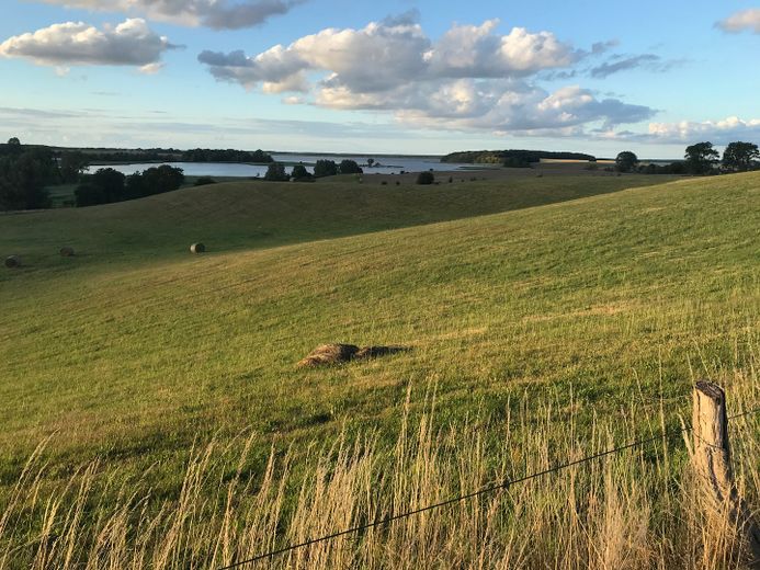 Ferieninvestment + Lebensperspektive + Land auf Rügen – Umgebung Boddenblick