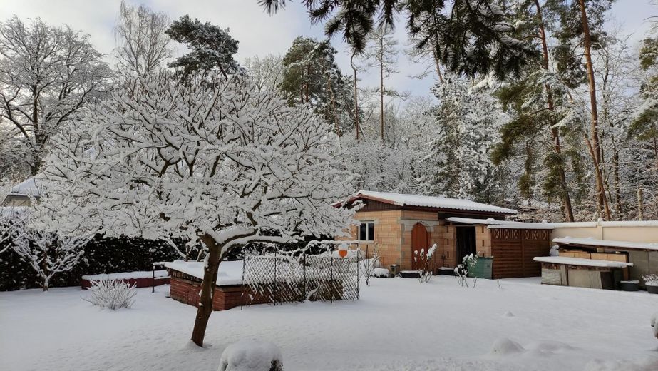 Garten im Winter