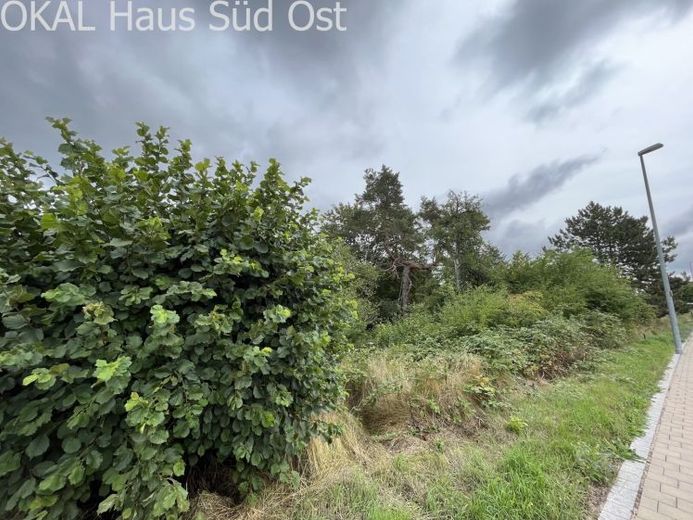 EIN HAUS, DAS MIT GROSSEM PLATZANGEBOT ÜBERZEUGT – Foto 1