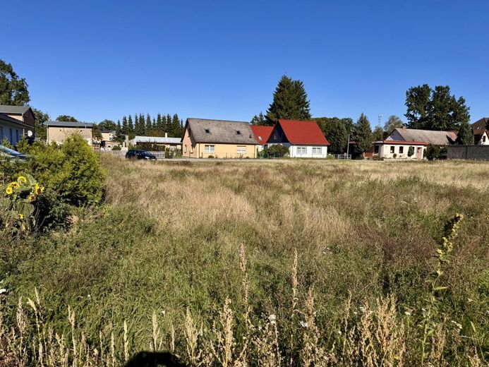 Waldweg