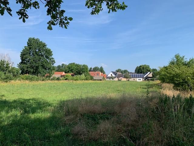 4‑Seiten‑Hof 8200 m², Teilfinanzierung mögl. Berlin-nah, für Pferde, Mehrgeneration, Gewerbe; Café – Blick auf eigene Wiese und Hof