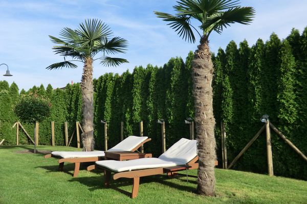Commission-free detached house on the outskirts with a dream garden!