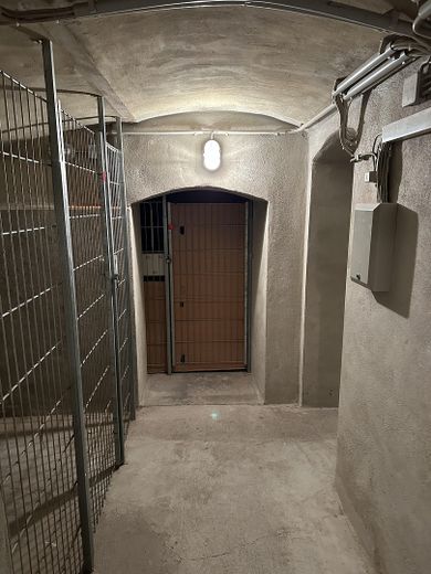 Living or investing in the heart of Erfurt – Vacant apartment in an attractive location – Keller