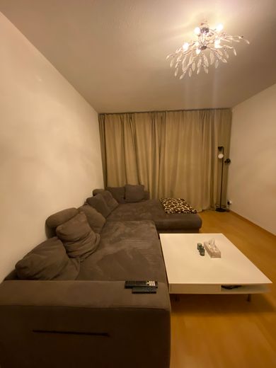 Helle 2-Zimmer-Wohnung (47 m²) zu vermieten – WJ-00195_bild_002.jpeg
