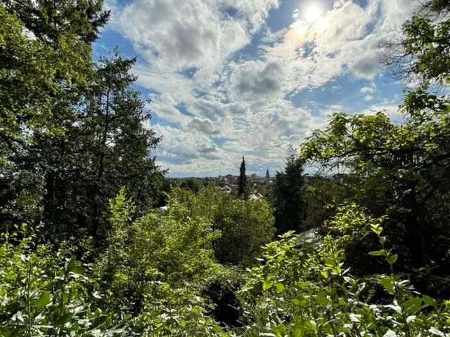 Blick über die Stadt
