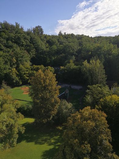 Wohnen in der Stadt und doch im Grünen – Foto 1