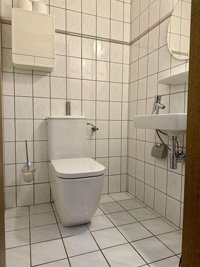Wszechstronny budynek mieszkalno-usługowy w Dessau-Ziebigk – pompa ciepła, kominek i ogród zimowy – Gästetoilette
