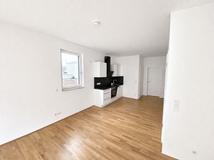 Nürnberg-Seeleinsbühl’de, Gostenhof sınırının hemen yanında teraslı modern 2 odalı daire – Essbereich und Küche