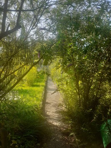 Garten Ansicht von oben Sommer